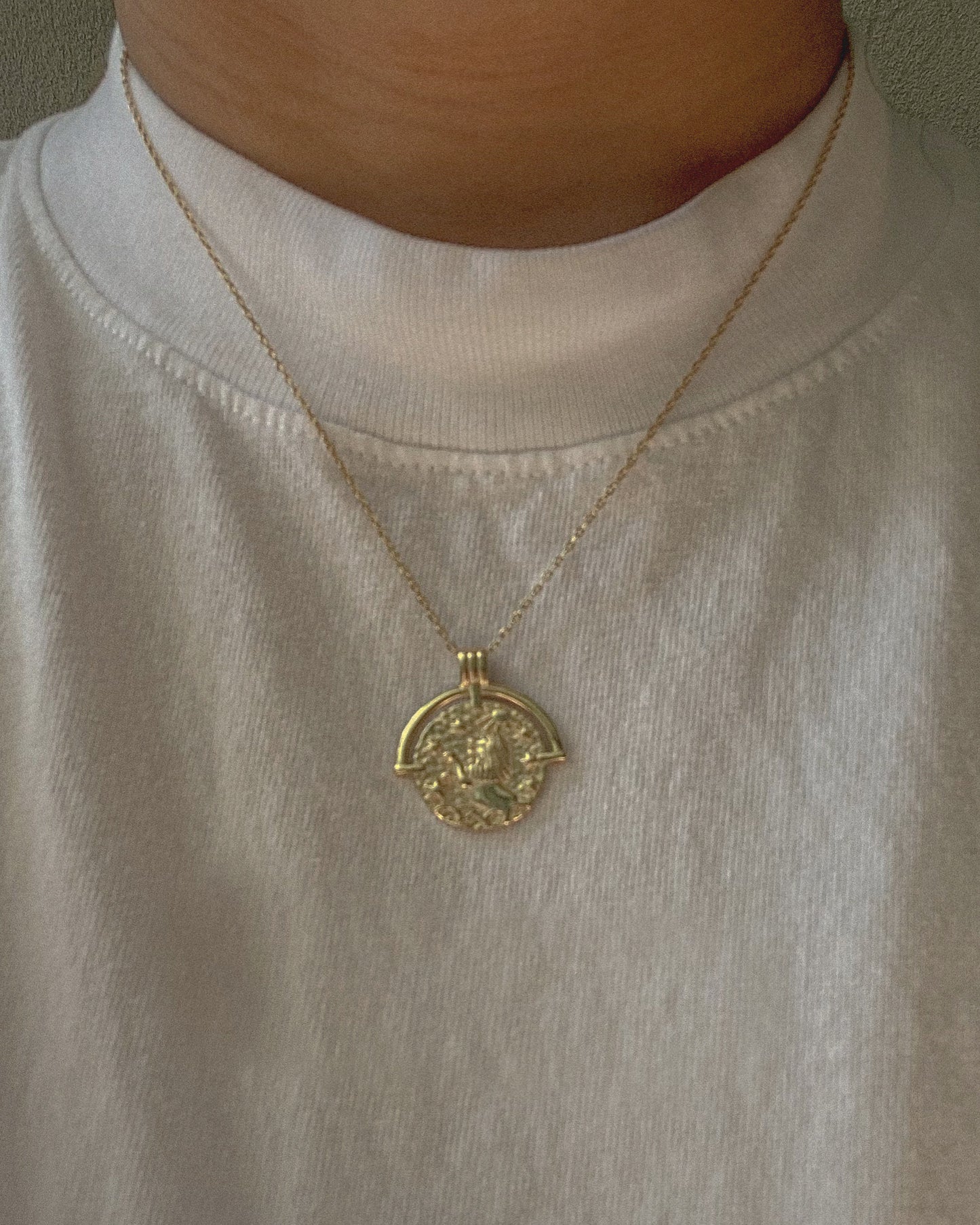 Zodiac Coin Collection